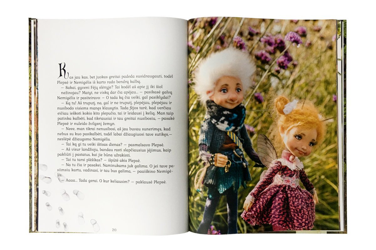 Naminukas Nemigėlis nuotykių pradžia | Edita Lei