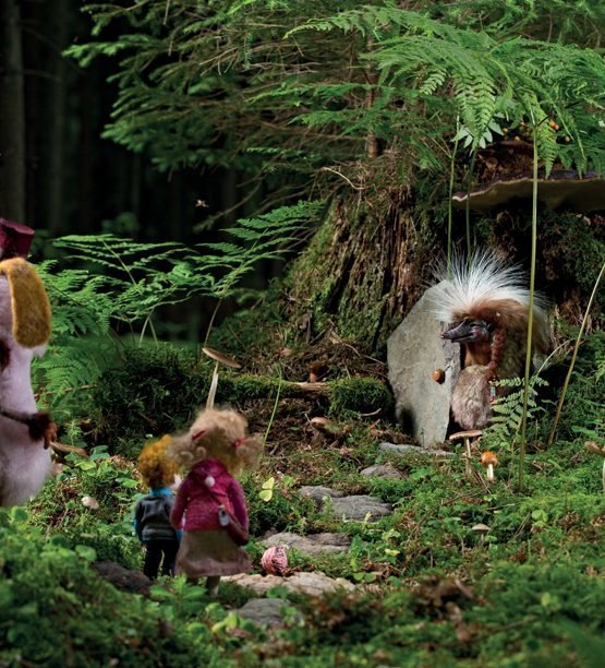 Pasakų knyga Miglų slėnio Fėjų burtai | Edita Lei