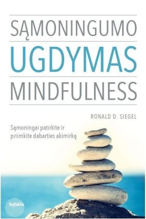 Sąminingumo ugdymas. Mindfulness | D. Siegel Ronald