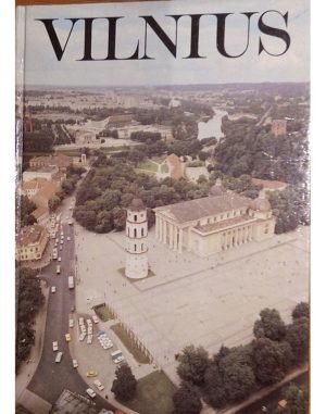 Vilnius 1980, Mickevičius Danielius