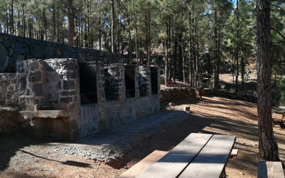 Pikniko -polisio aikštelės Tenerifėje