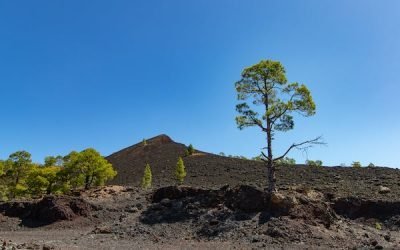 Gražiausi takai Tenerifėje
