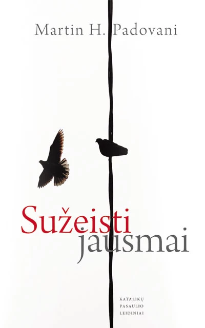 Sužeisti jausmai: kaip įveikti gyvenimo skaudulius | Padovani Martin H.