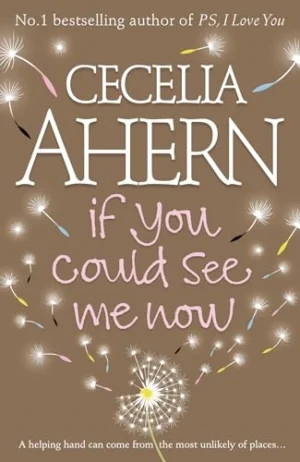 If You Could See Me Now | Cecelia Ahern